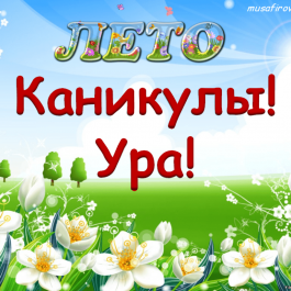 Летние Каникулы
